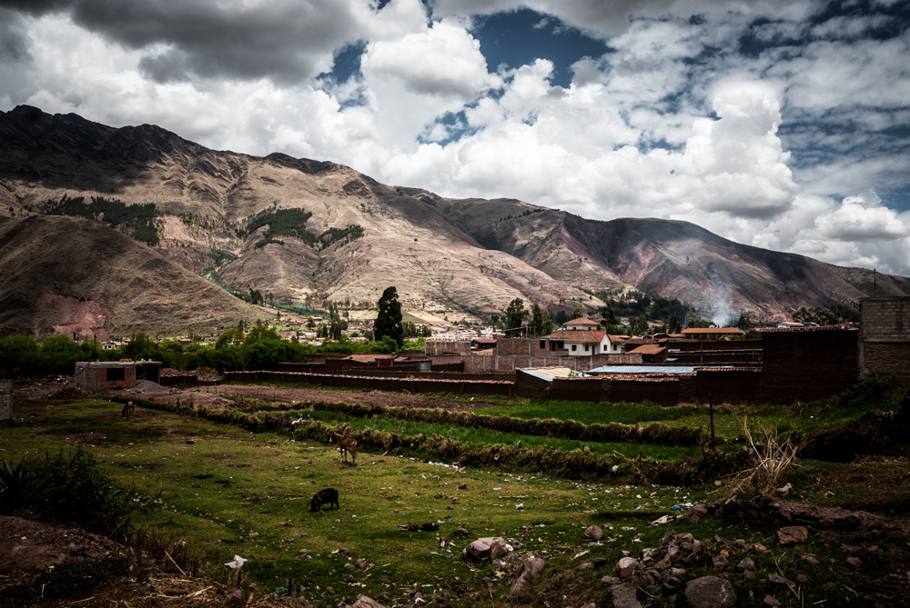 01  curanderos Huasao