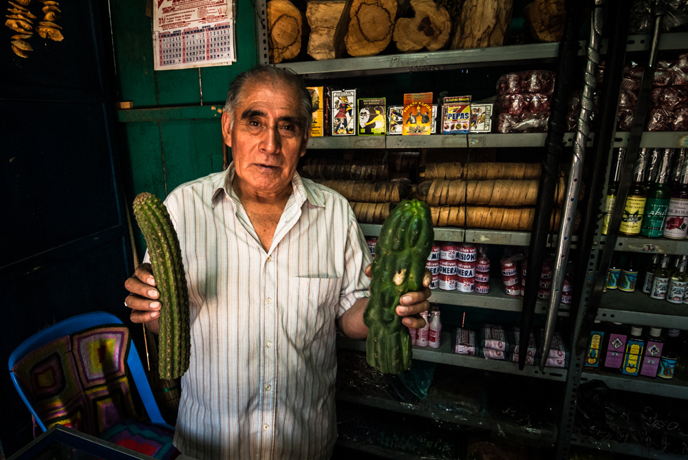 24  curanderos Lambayeque
