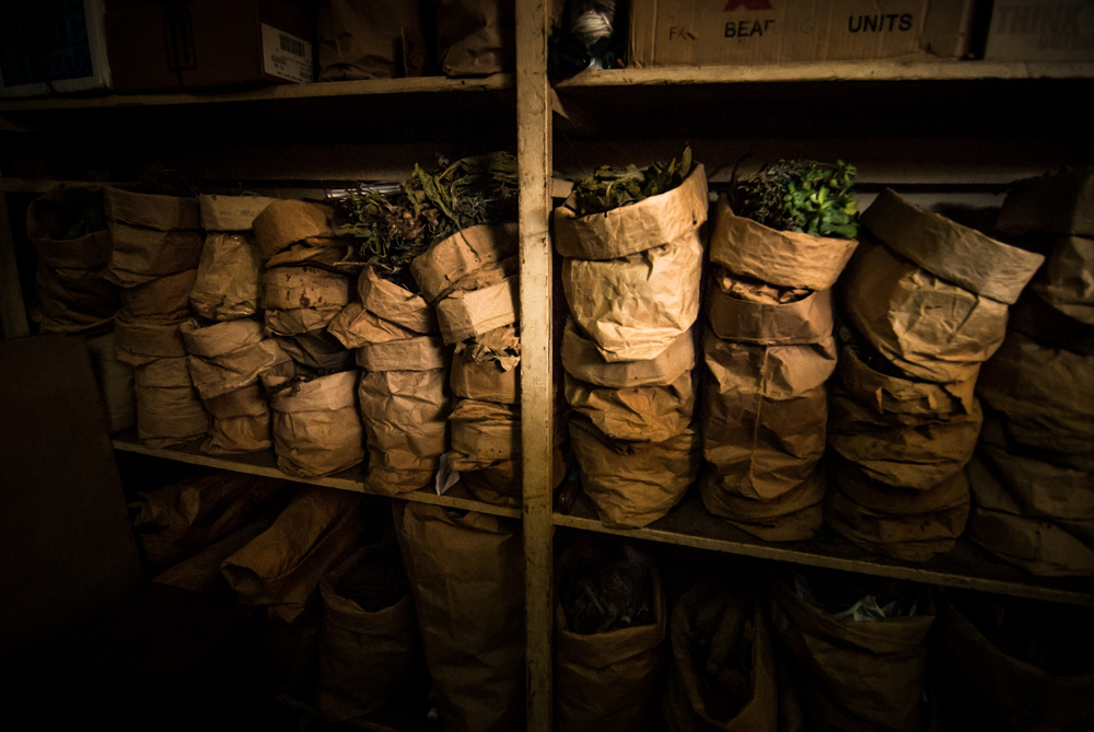 27  curanderos Lambayeque