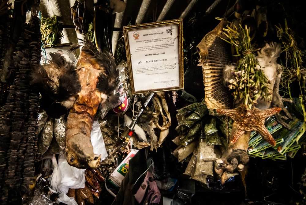 32  curanderos Lambayeque