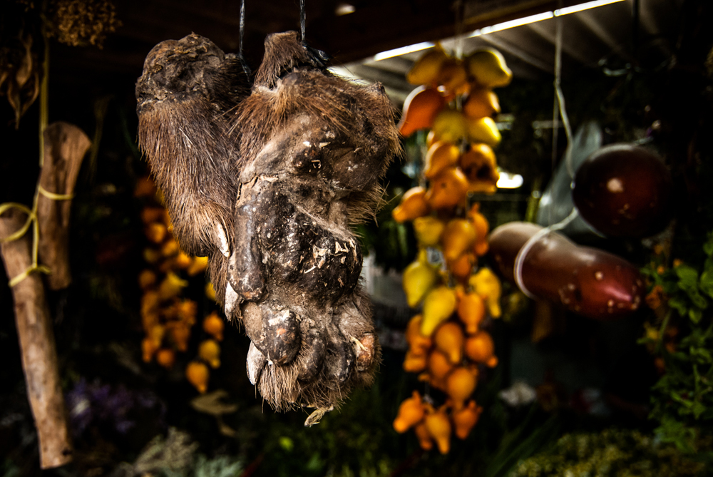 33  curanderos Lambayeque