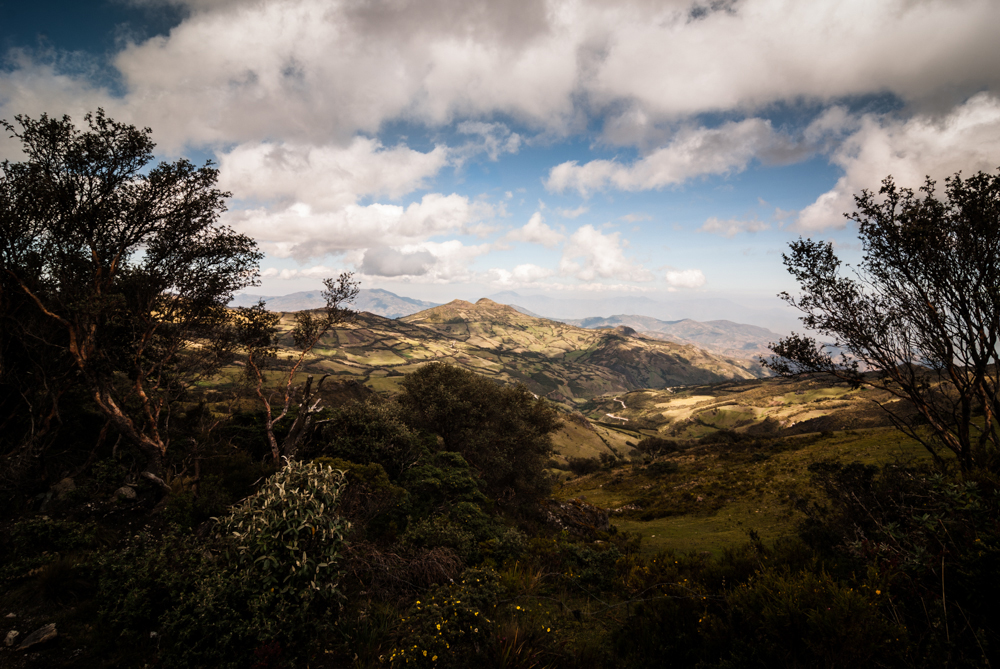 34  curanderos Huaringas