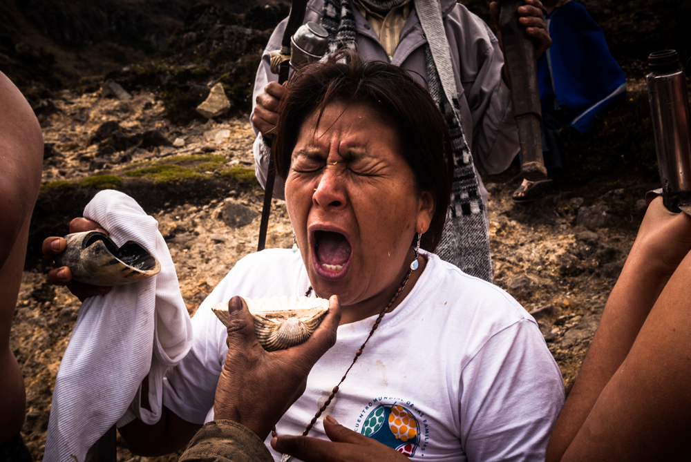 49  curanderos Huaringas