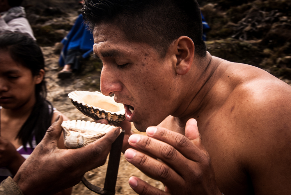 53  curanderos Huaringas